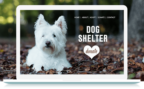 完美CTA：網(wǎng)站成功的關(guān)鍵所在