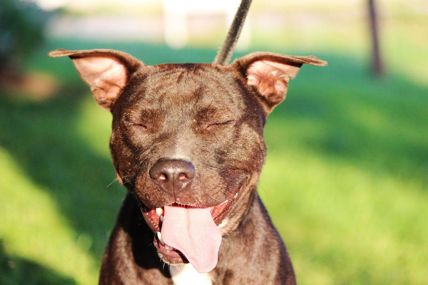 來(lái)自社交媒體的圖片如何幫你在網(wǎng)絡(luò)上脫穎而出