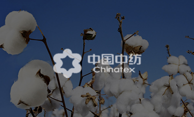 中國(guó)中紡