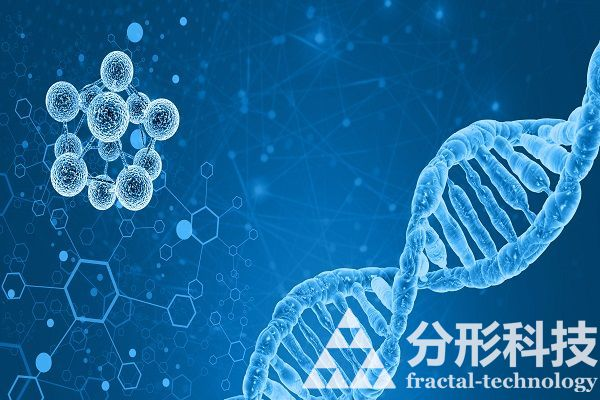 醫(yī)院網(wǎng)站建設(shè)：守護(hù)健康的專業(yè)醫(yī)療服務(wù)平臺(tái)